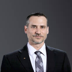 Michael J. Wood